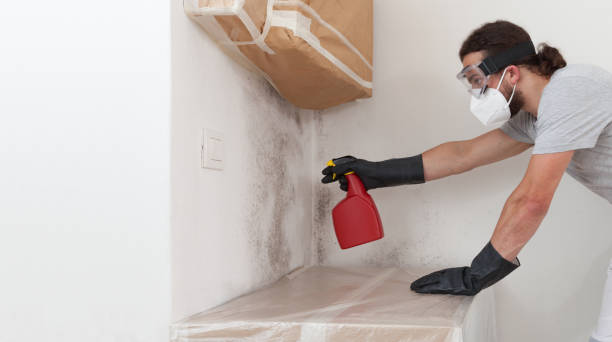 Professional Crawl Space Mold Remediation technician working in Lincroft, NJ