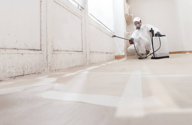 24/7 Emergency Crawl Space Mold Remediation experts in Lincroft, NJ